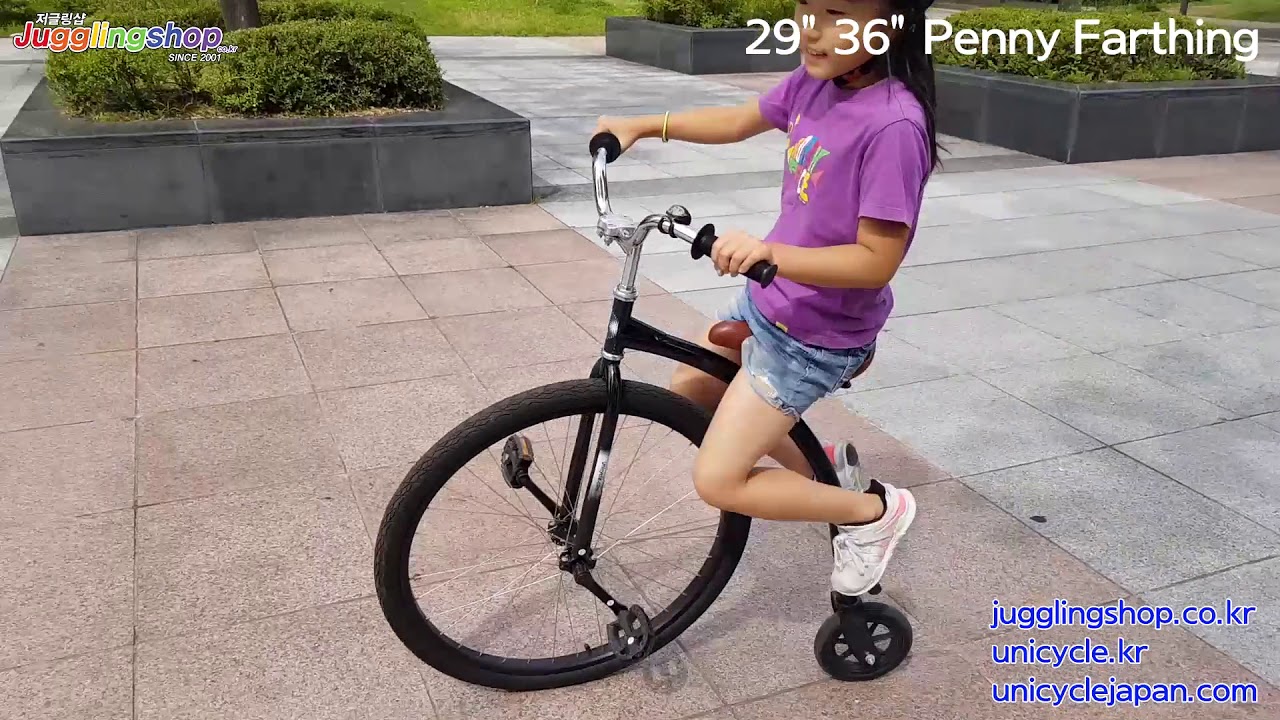 29
