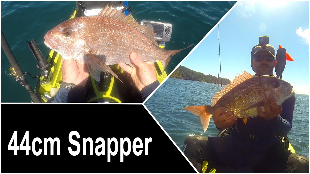 Camping and a 44cm Snapper at Tawharanui - Jones Bay