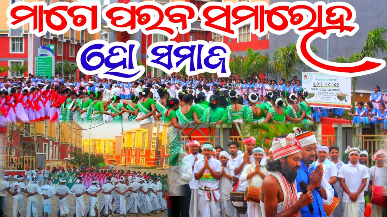 MAGE PARAB CELEBRATION BY HO SAMAJ !! BHUBANESWAR ODISHA @InfinityJourneyodia ମାଗେ ପର୍ବ