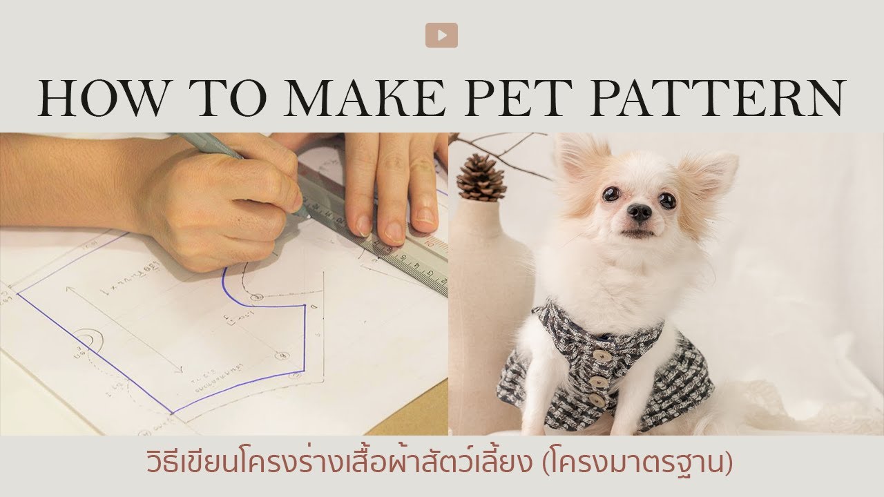 เริ่มเขียนโครง Pattern ชุดหมาแมว | How to Make Pet Pattern