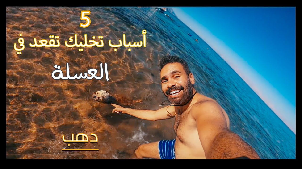 Dahab 2020 خمس اسباب  تخليك تقعد في العسلة دهب