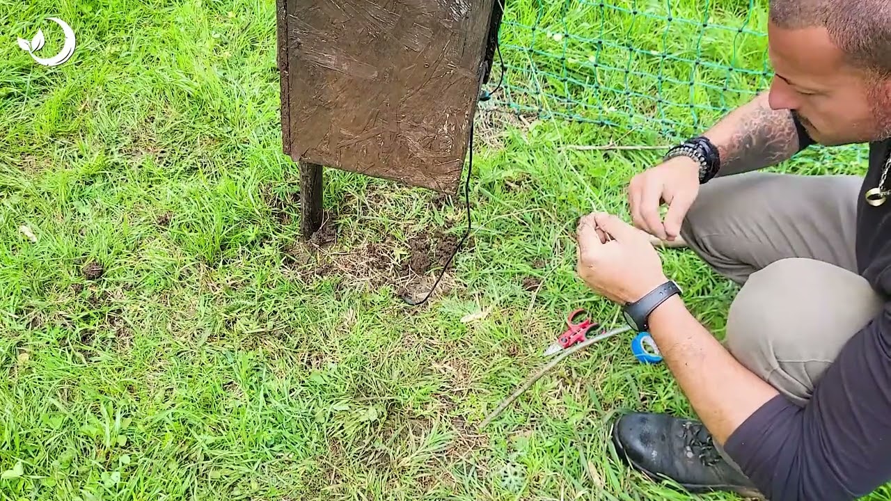 Galline, oche e anatre dentro il nuovo recinto elettrico. Raccolta Orto. Lorenzo | Contea Mezzaluna