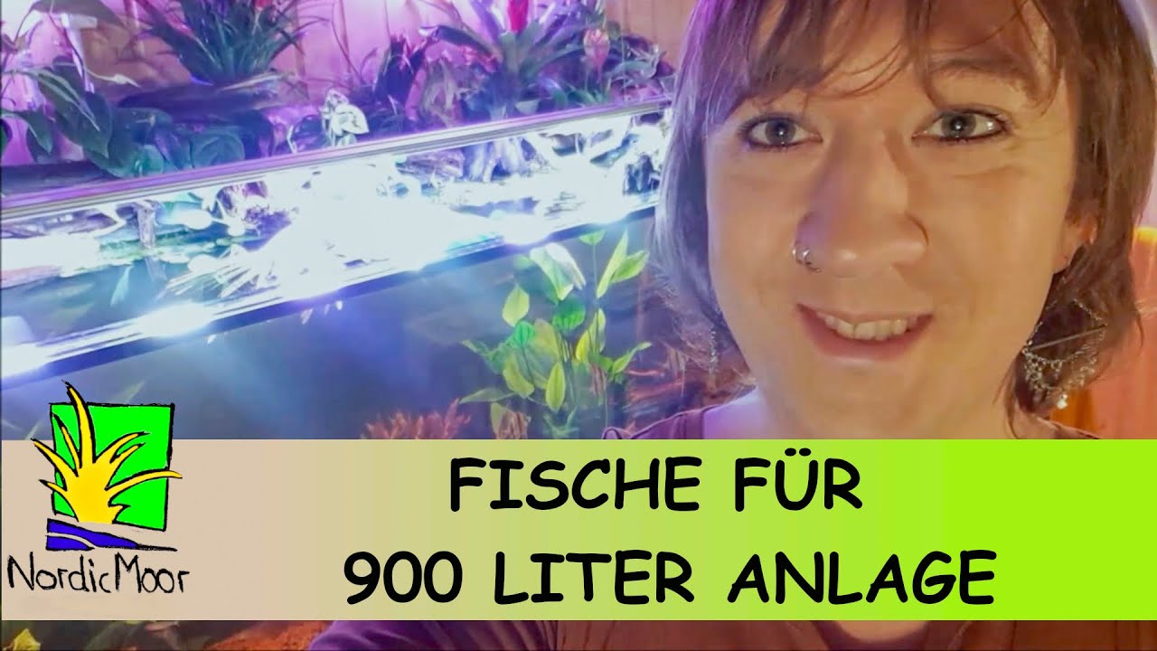 Fisch Unboxing Orinoco XL-Aquarium