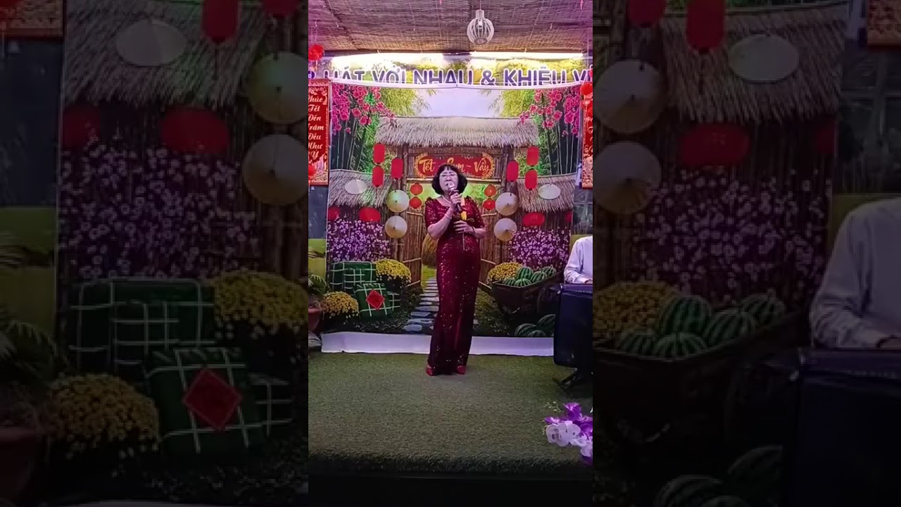 CA KHÚC. TÀN ĐÊM THƯƠNG NHỚ. TRÌNH BÀY. HỒ NHỚ 