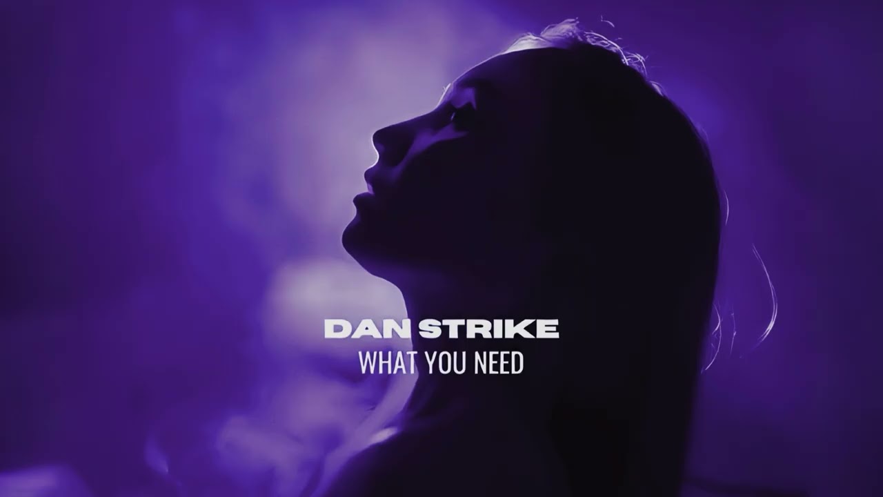 DAN STRIKE - What You Need