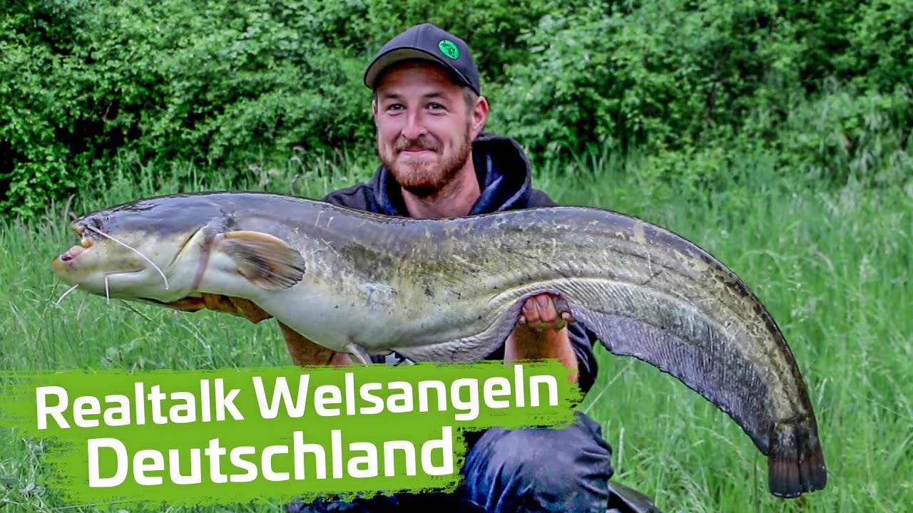 Jetzt mal Tacheles: REALTALK zum WELSANGELN in DEUTSCHLAND!