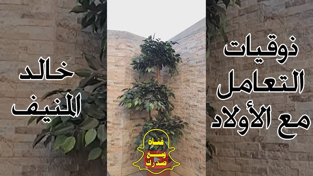 ذوقيات التعامل مع الأولاد | خالد المنيف