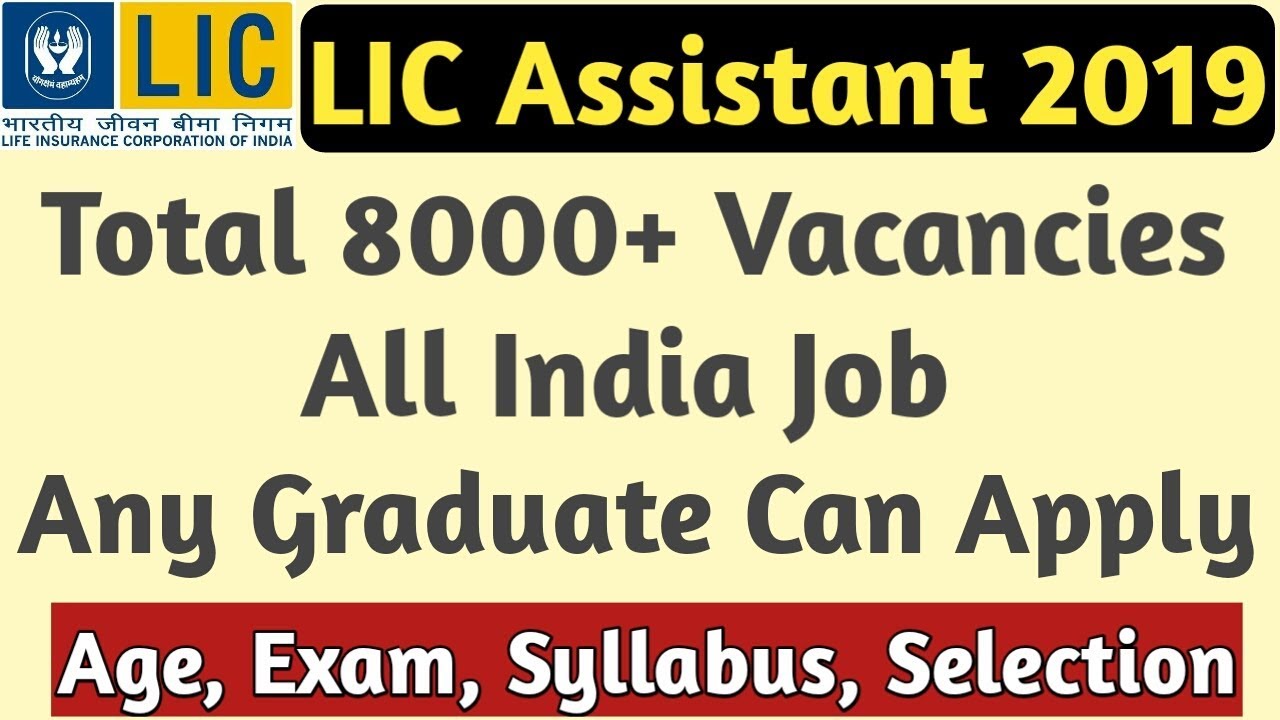 LIC Assistant 2019 Official Notification | 8000+ Vacancies | All India Job |