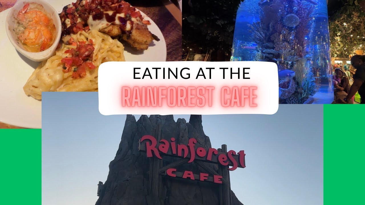 DINNER AT THE RAINFOREST CAFE!!!!
