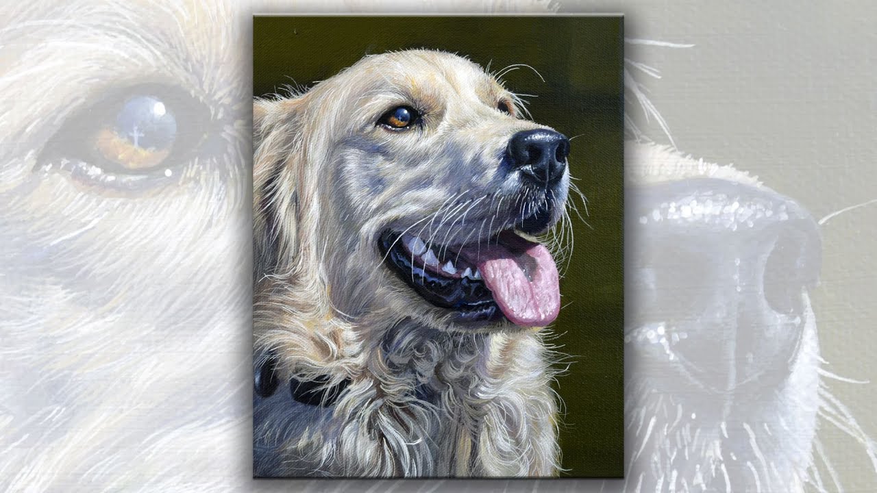 GOLDEN RETRIEVER 0722 | EASY ART & PAINTING PROCESS| ANIMAL | ACRYLIC PAINTING | FOR BEGINNERS |#52