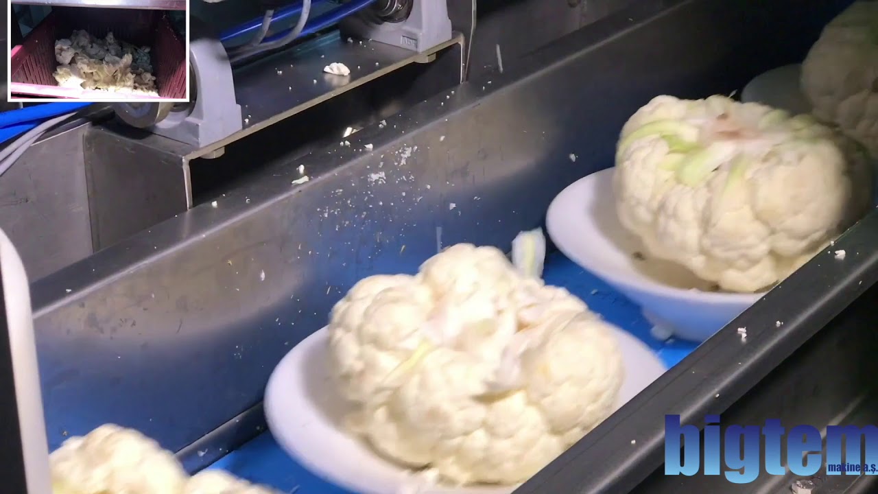 Broccoli - Cauliflower Floretter / Arctic Lettuce Core Remover  |  Brokoli - Karnabahar Göbek Alma