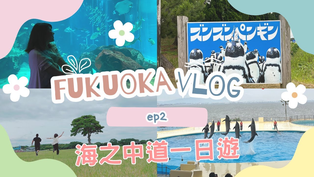 【福岡VLOG EP 2🇯🇵】海之中道海濱公園🌻🚴🏻‍♀️＆海洋館一日遊🐬🦦近距離接觸水豚😍超震撼餵食表演🤩