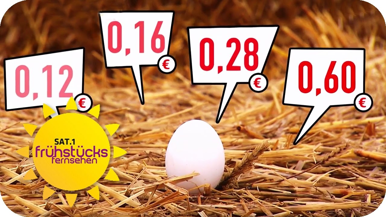LANDWIRT ZEIGT SEINE EIER: Schmeckt man den Preisunterschied? | SAT.1 Fr&uuml;hst&uuml;cksfernsehen | TV