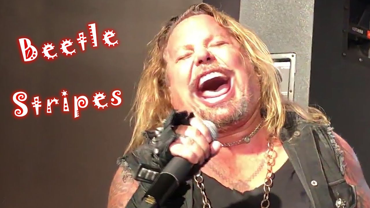 WILD SIDE 🤡 Motley Crue ❌ WRONG SONG LYRICS - Band Concert Misheard Funny 80s Vince Neil Music Hits