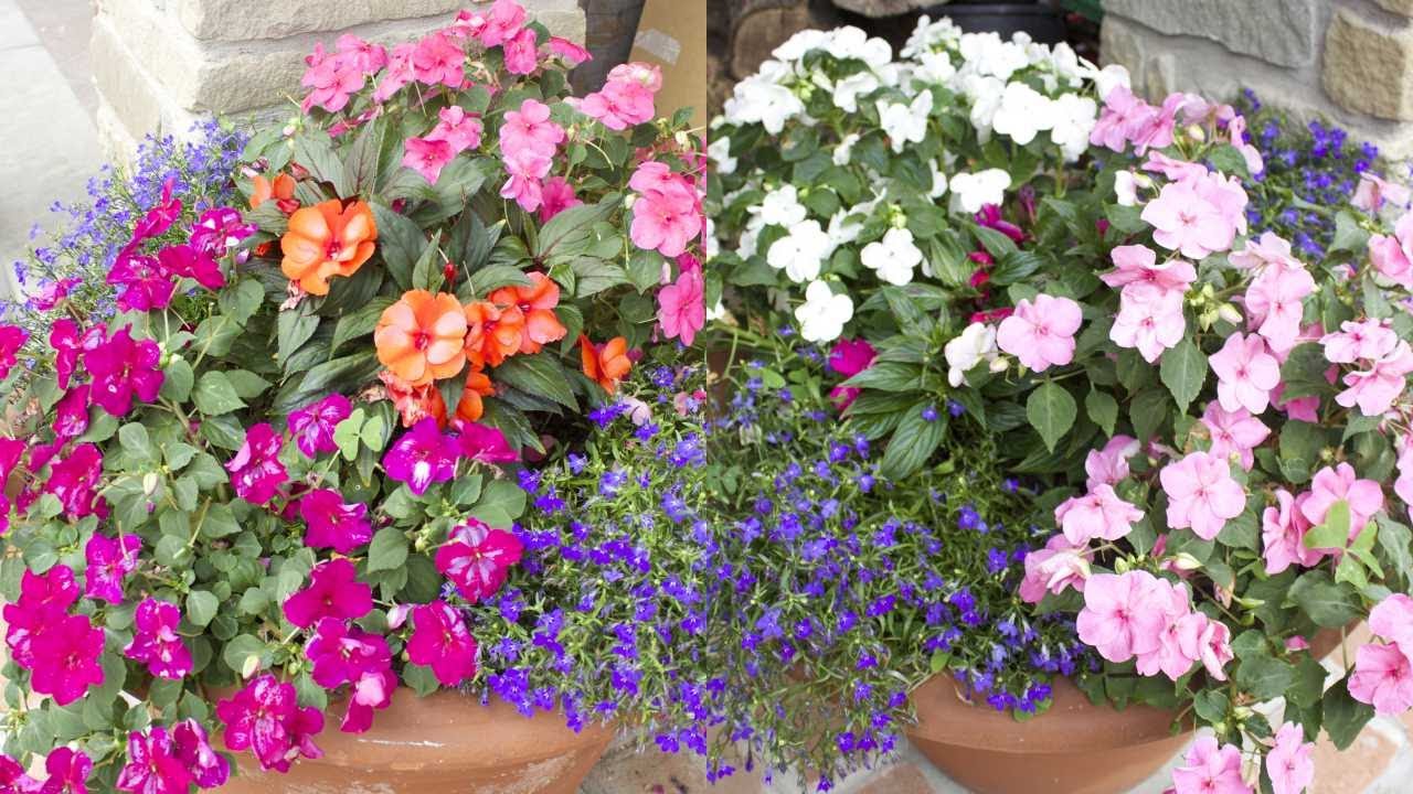 Piantare i fiori di vetro (composizione floreale)