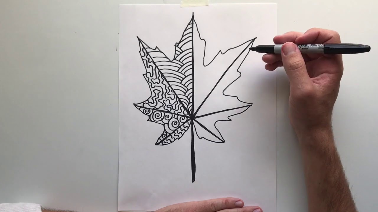 Organic Line Leaf Demonstration