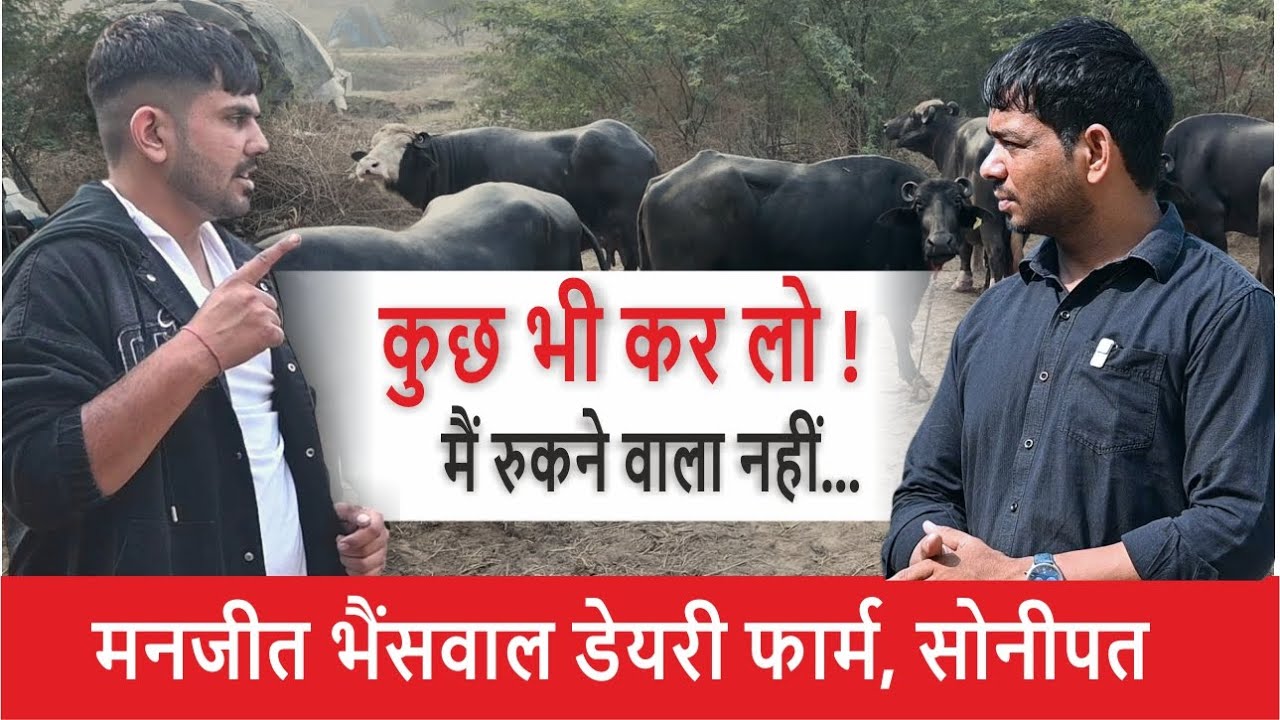 कुछ भी कर लो - में रुकने वाला नहीं हूँ ! MANJEET BHAINSWAL, KALAN, SONIPAT