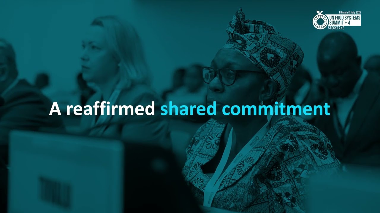 Highlights - UN Food Systems Summit +4 Stocktake