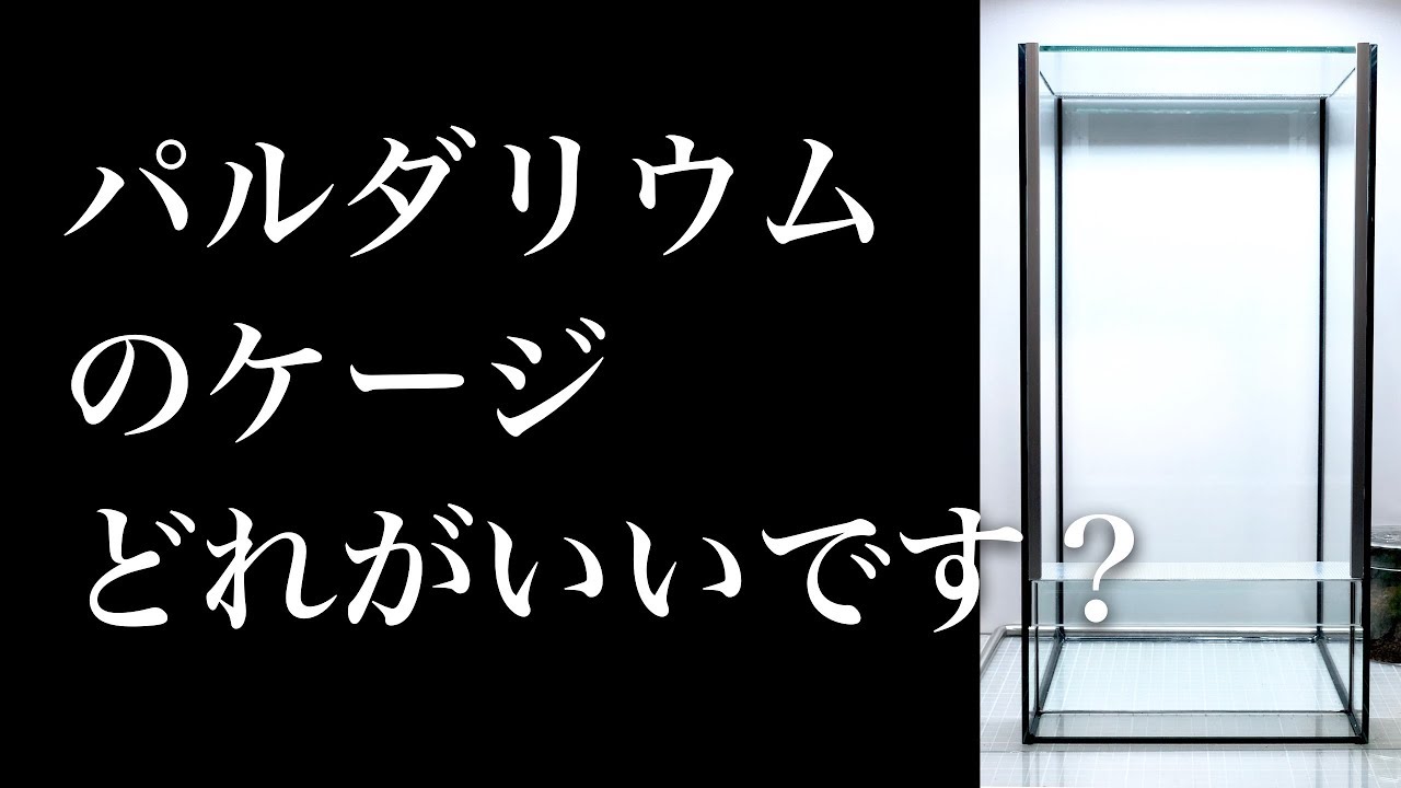 【パルダリウム用品②】パルダリウムケージの選び方。4種紹介 #008【パルダリウム】