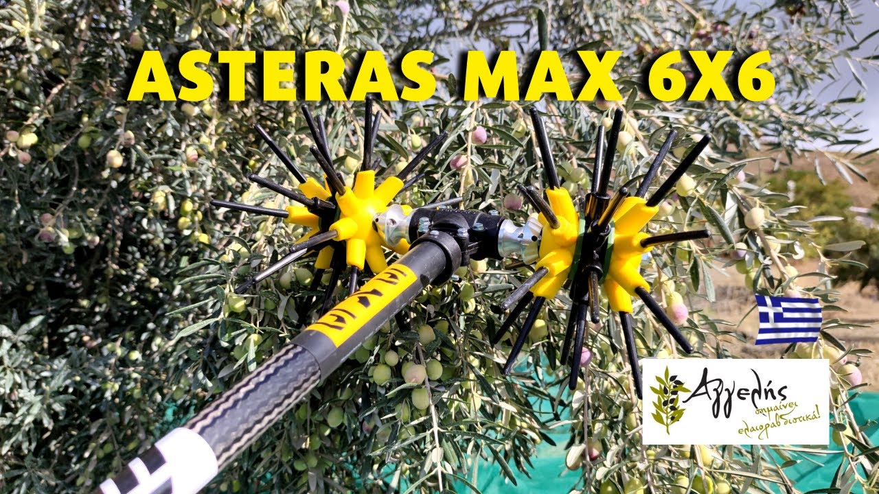 ΕΛΑΙΟΡΑΒΔΙΣΤΙΚΟ ΑΓΓΕΛΗΣ - ASTERAS MAX 6X6