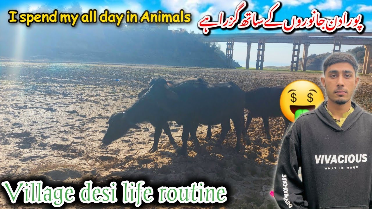 A whole day spent with animals, a typical indigenous life routine