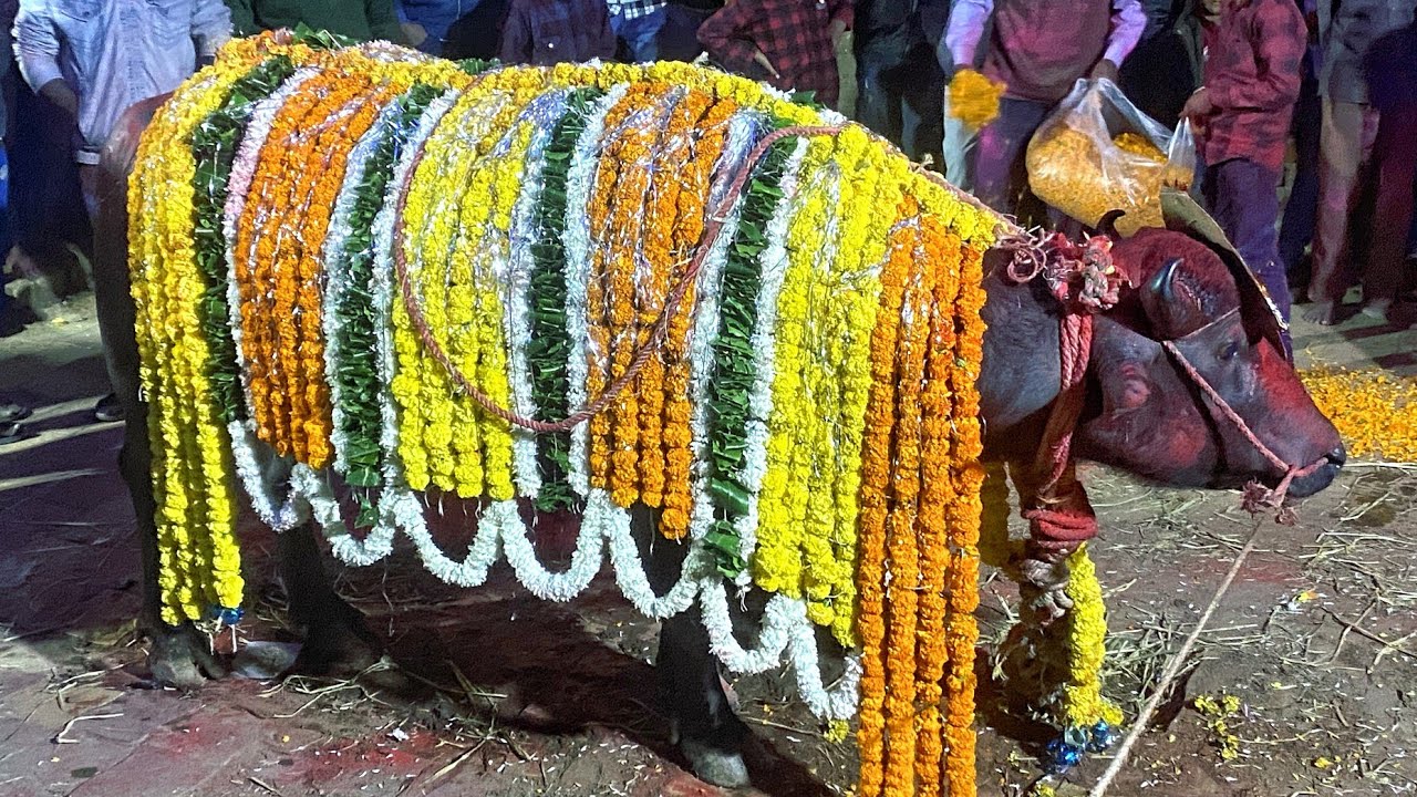 દયતા નો રે મેડો રે અલક બજાર માં પ્રવીણ જાગર || Dhay Ta Na Re Mido Re Alak Bajar Maa Parvin Jagar