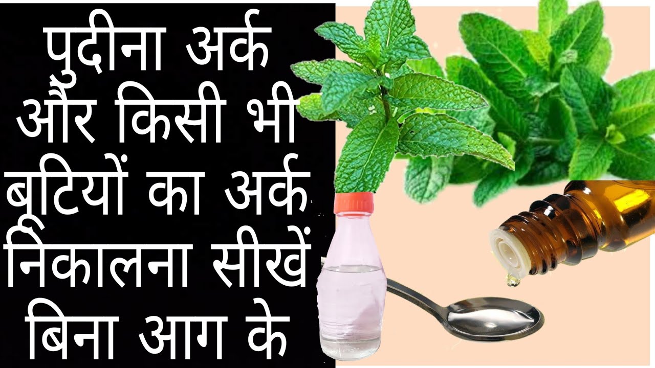 Pudina ark make at home ! पुदीने का अर्क निकालना सीखें बिना आग के. Indian Ayurveda