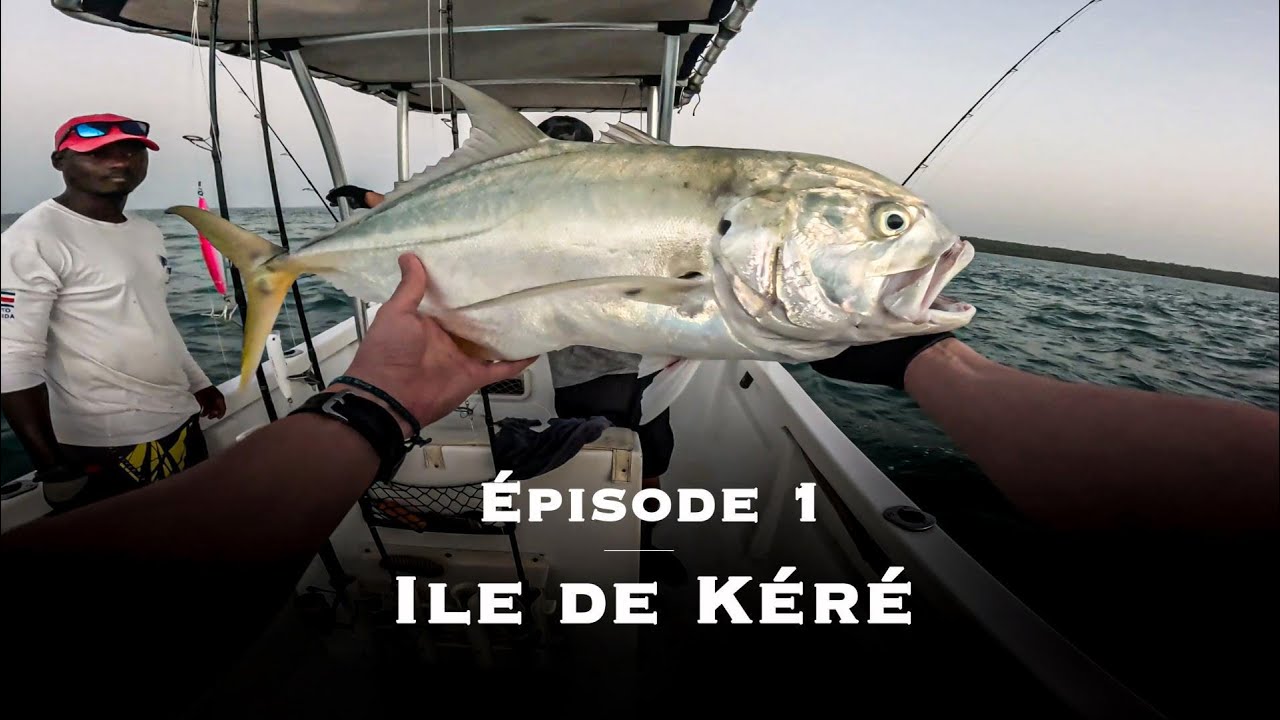 PECHE TROPICAL dans les iles Bijagos ! Des grosses Carrangues au RDV !