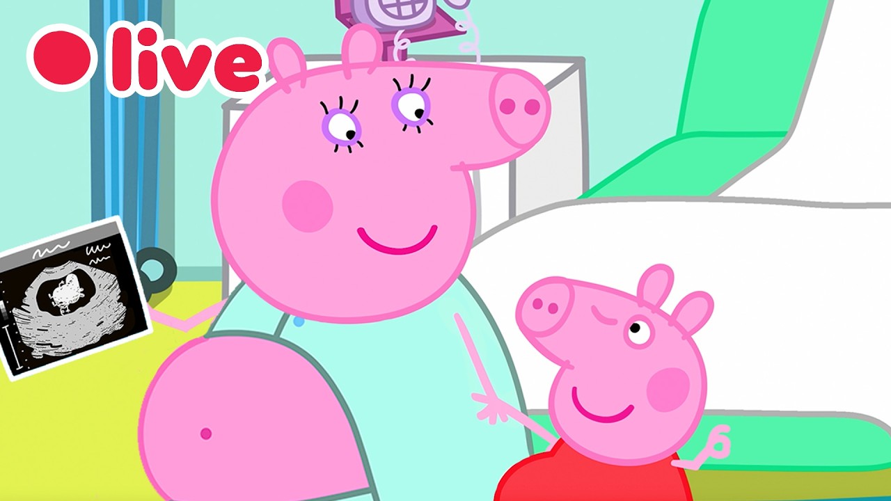 🔴 LIVE: Cutest Baby Evie Moments 🍼 | Peppa Pig&rsquo;s Best Big Sister Moments ✨ | FULL Episodes | 4K