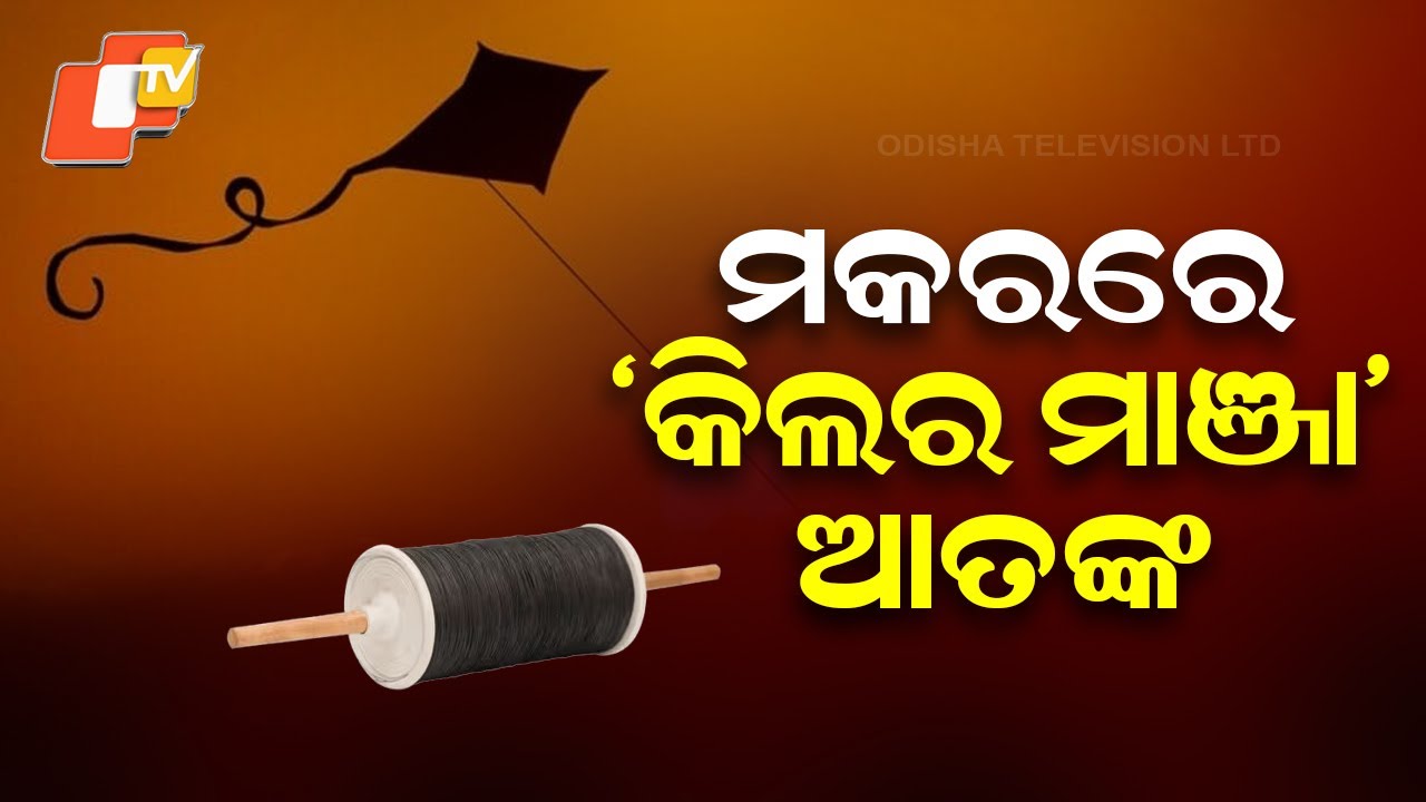 Killer Manja Terror During Makar Festival in Odisha