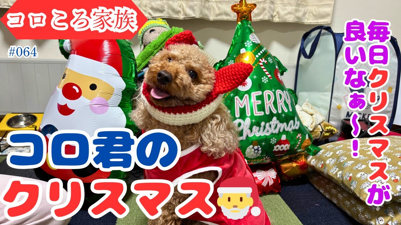 #064 コロ君のクリスマス