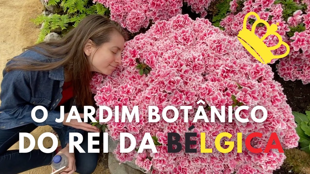 O Jardim Botânico do Rei da Bélgica | Estufas Reais de Laeken