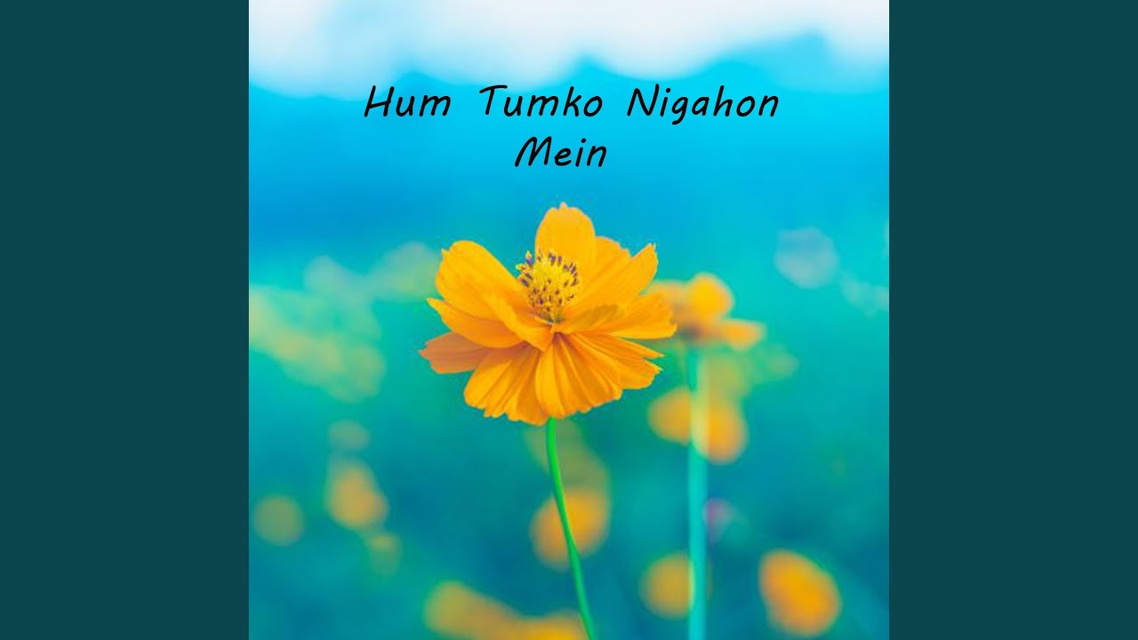 Hum Tumko Nigahon Mein (Remix)