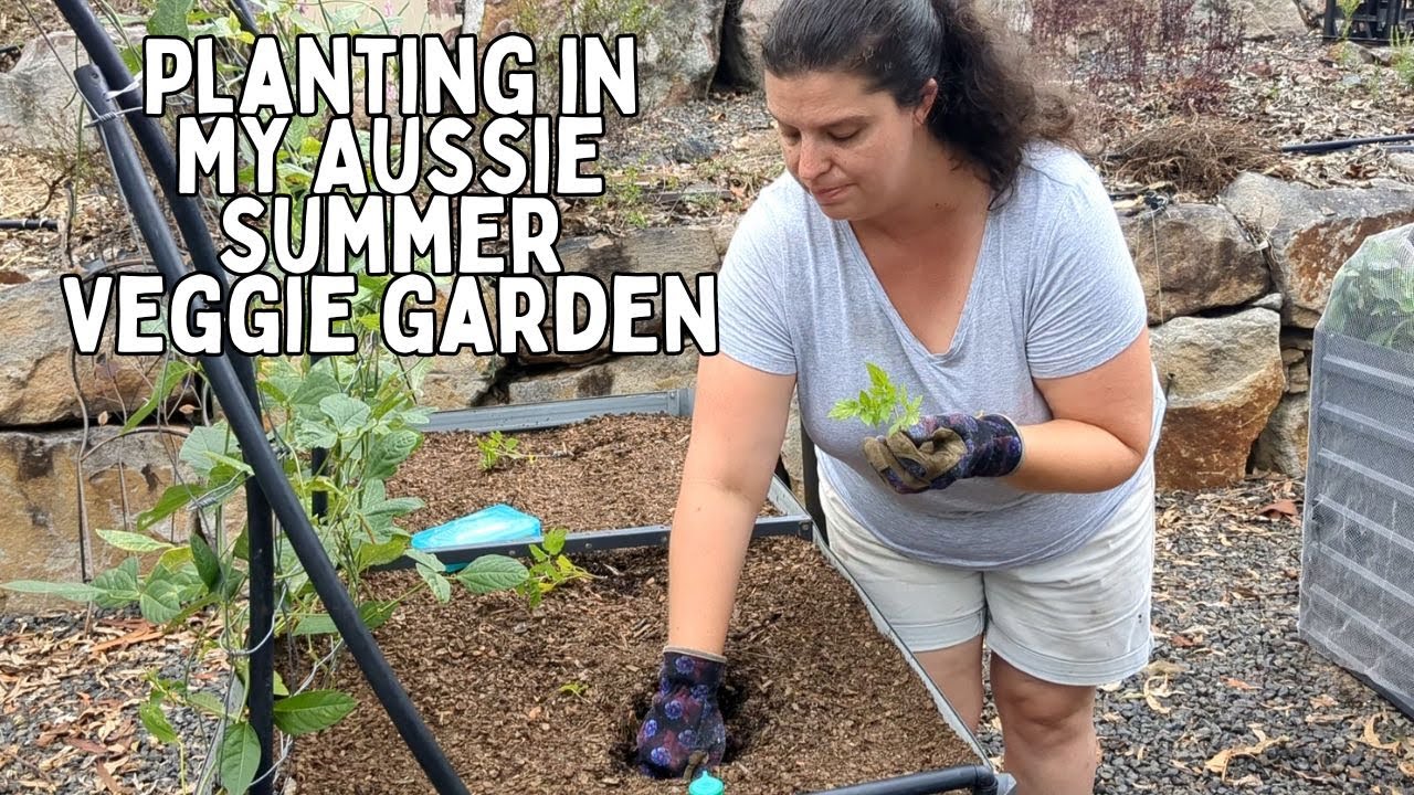 Planting in my Aussie Summer Vegetable garden