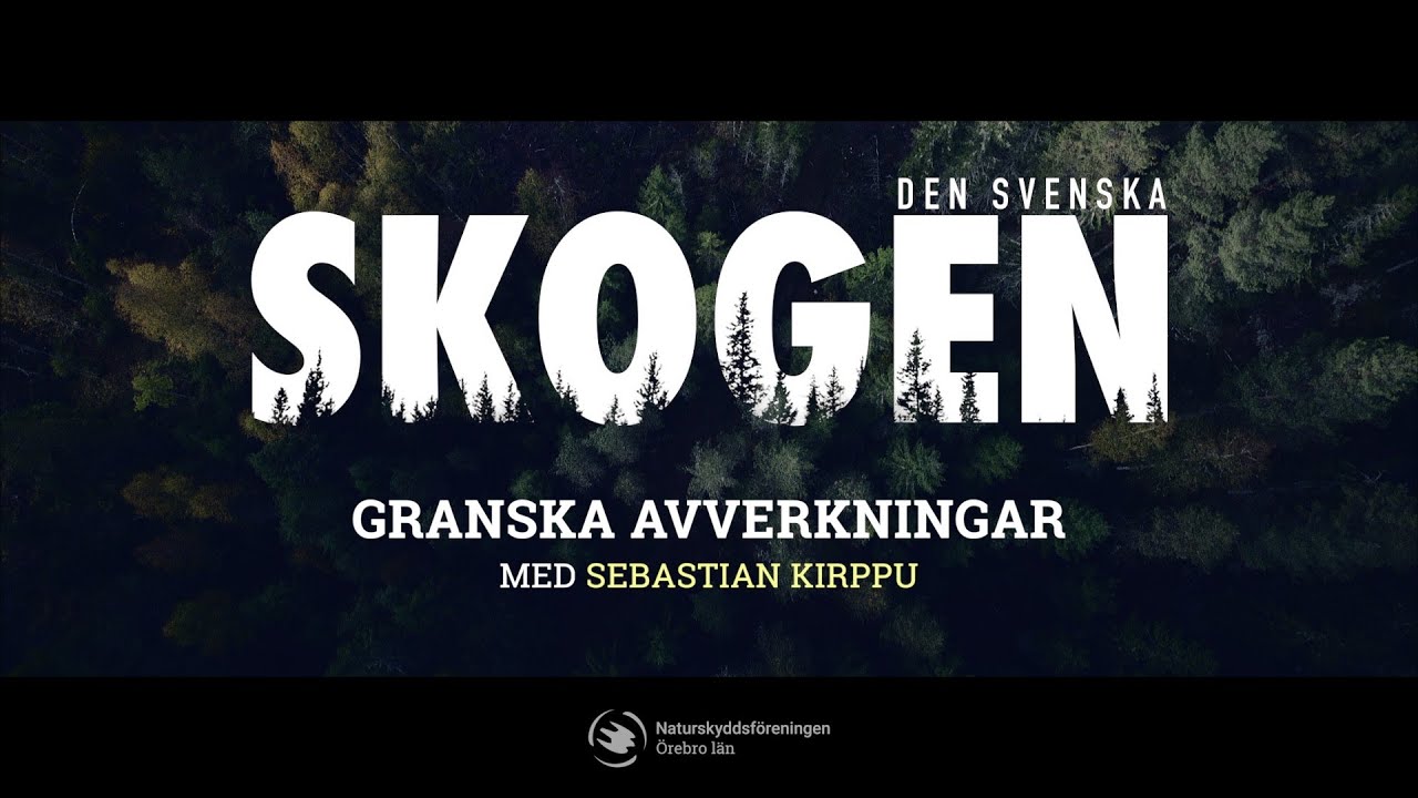Granska avverkningar - Del 1 av 4
