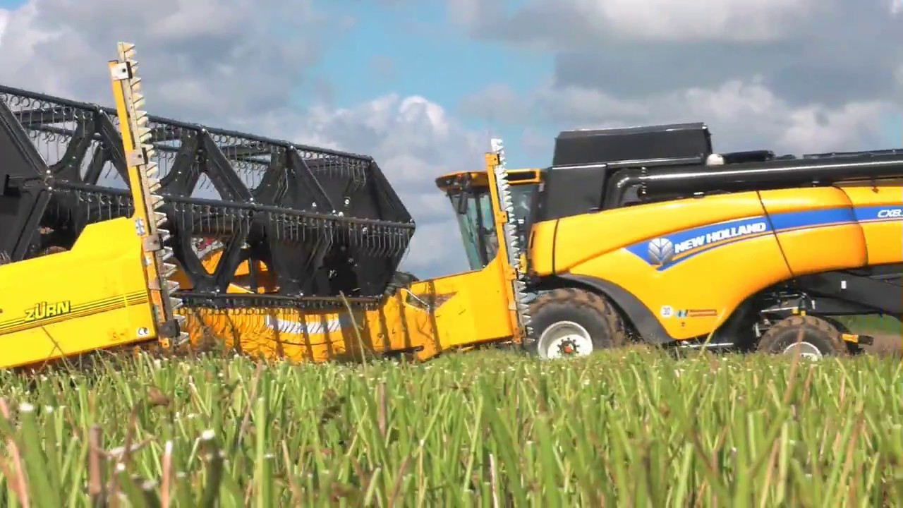 Harvestfeeling!!!