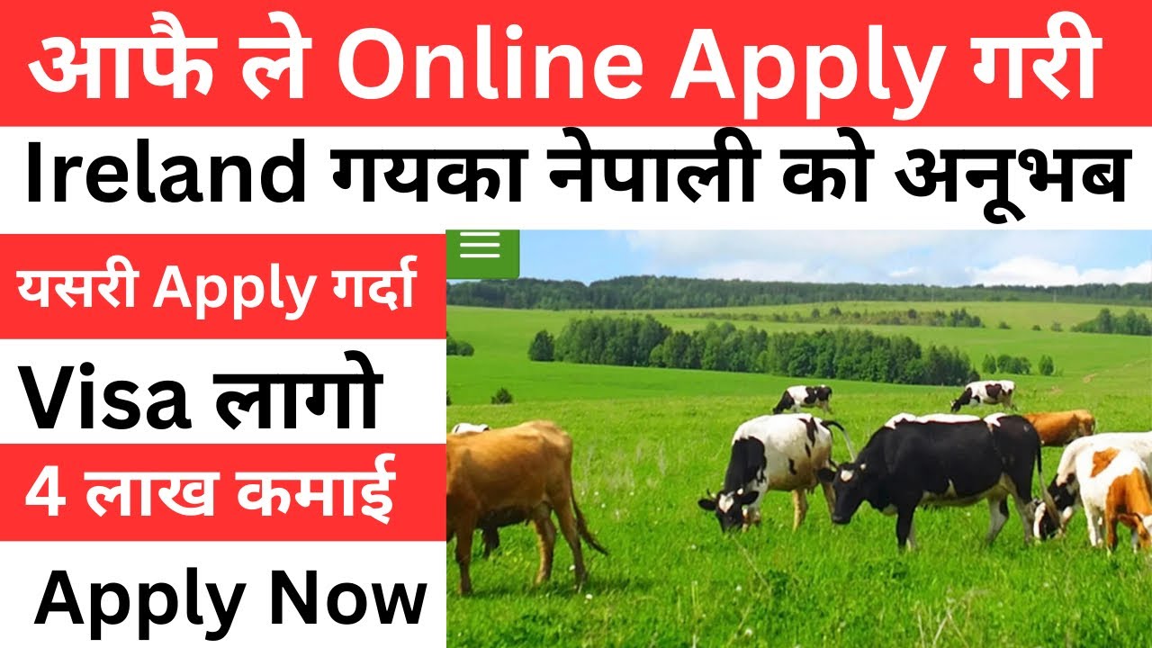 आफै ले Online Apply गरी Ireland गयका नेपाली को अनूभब | ireland work visa from nepal 2025