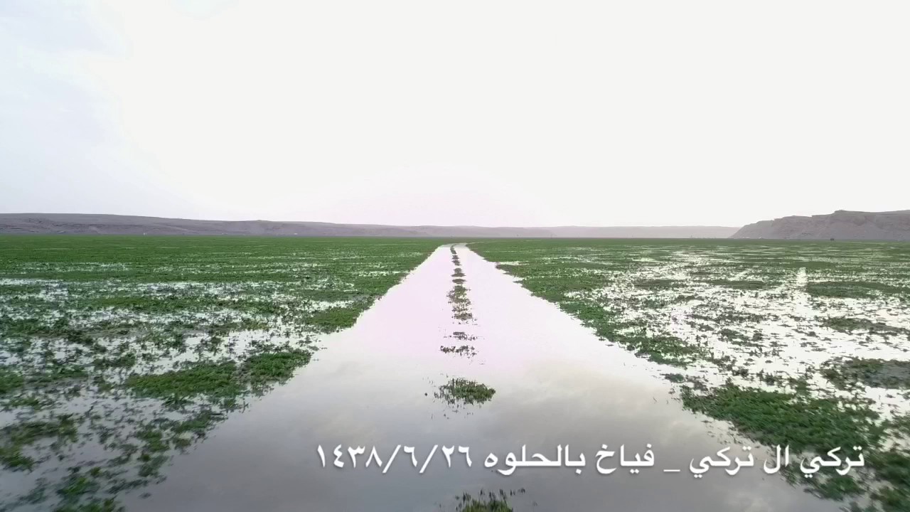 تصوير جوي شعيب فياخ بالحلوه يوم السبت ١٤٣٨/٦/٢٦