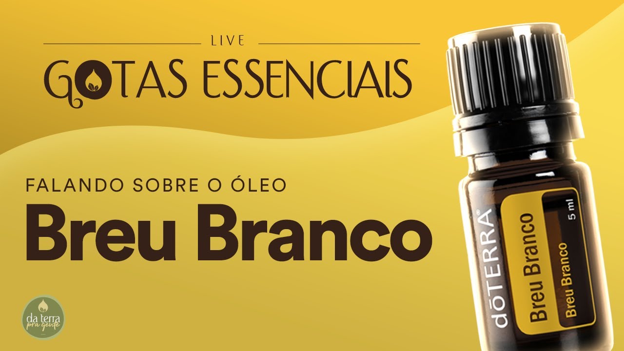 (LIVE 40) - GOTAS ESSENCIAIS - FALANDO SOBRE BREU BRANCO