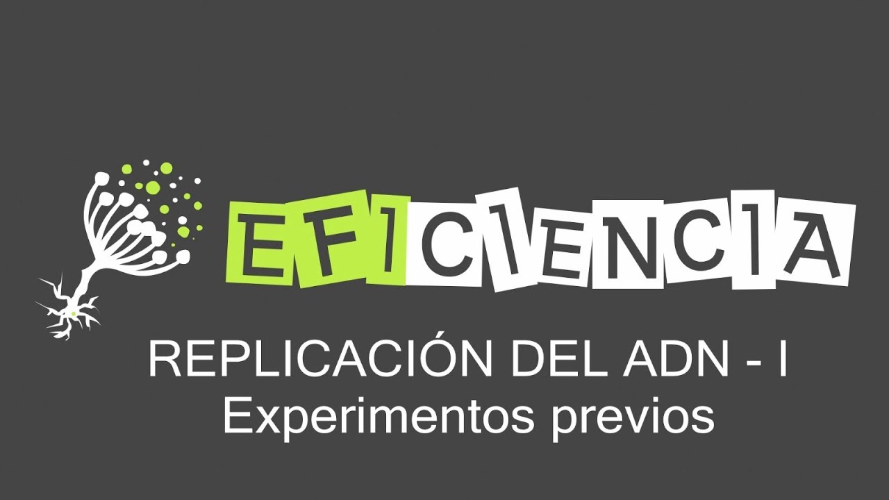 REPLICACIÓN DEL ADN -I. Experimentos Previos. Griffith, Kornberg, Cairns...