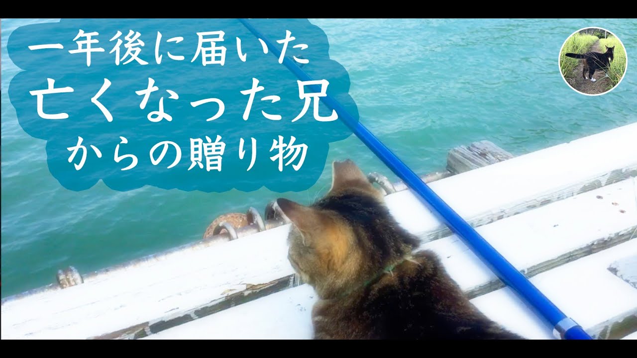 1年後に届いた、亡くなった兄からの、贈り物。