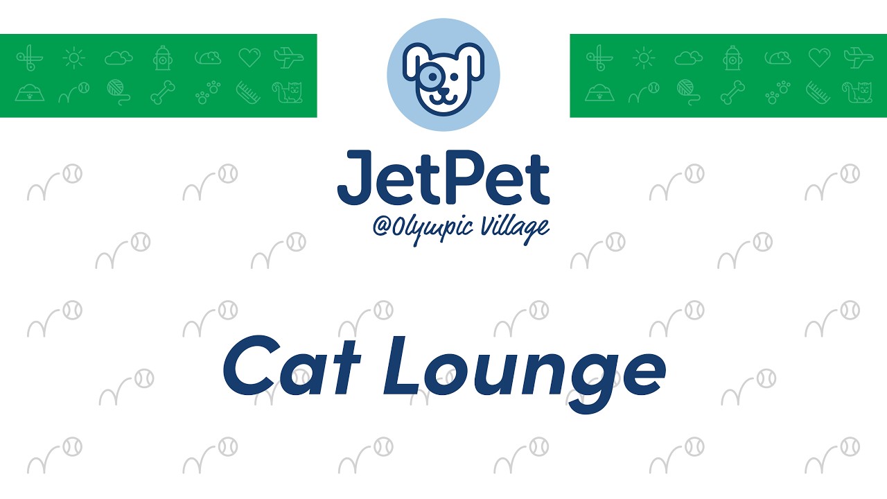 OV: Cat Lounge - March 15, 2026