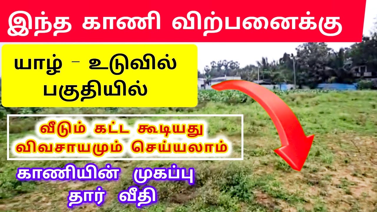 🛑  இந்த  காணி | உடனடி விற்பனைக்கு  Jaffna | Unka Nanban | home tour | #viral #tamilvlog #srilanka