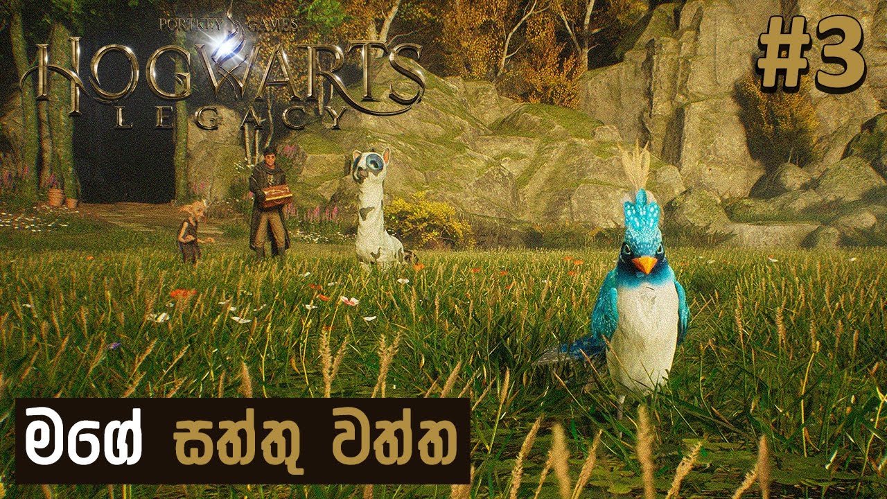 තව අලුත් සත්තු ටිකක් අල්ලගන්නත් ඕනෙ 🫎😏 — #HogwartsLegacy E03 │ #MrMRVLS 💜