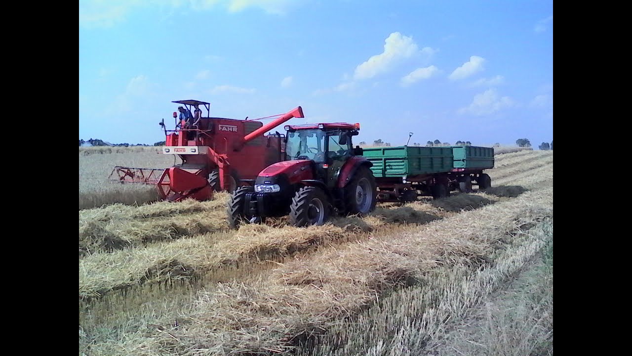 Żniwa 2014 z Case Farmall 95A i Fahr M1000