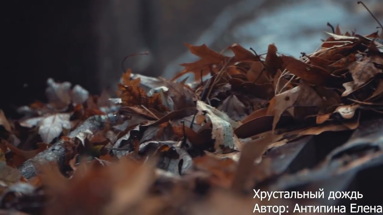 Хрустальный дождь