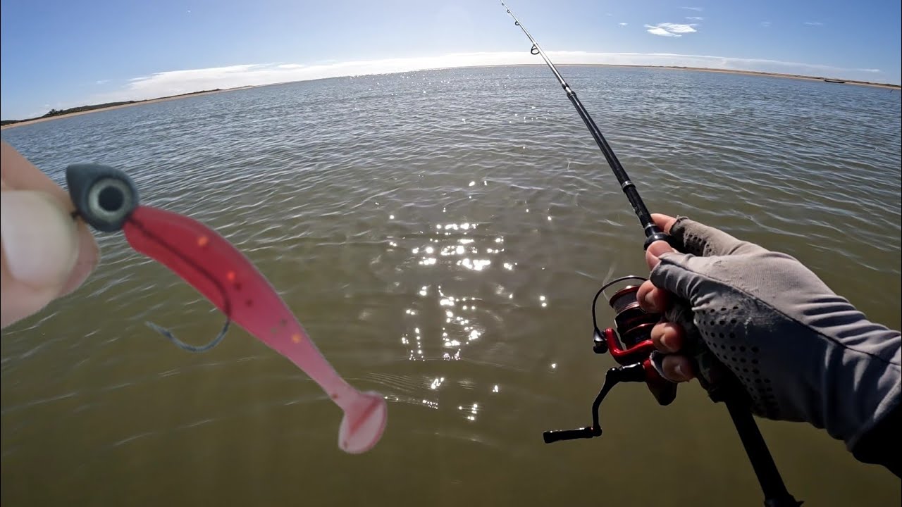 ⚠️ [SUFOCO] Quando não tiver pegando nada, coloca essa ISCA - Pescaria de Robalo na Praia