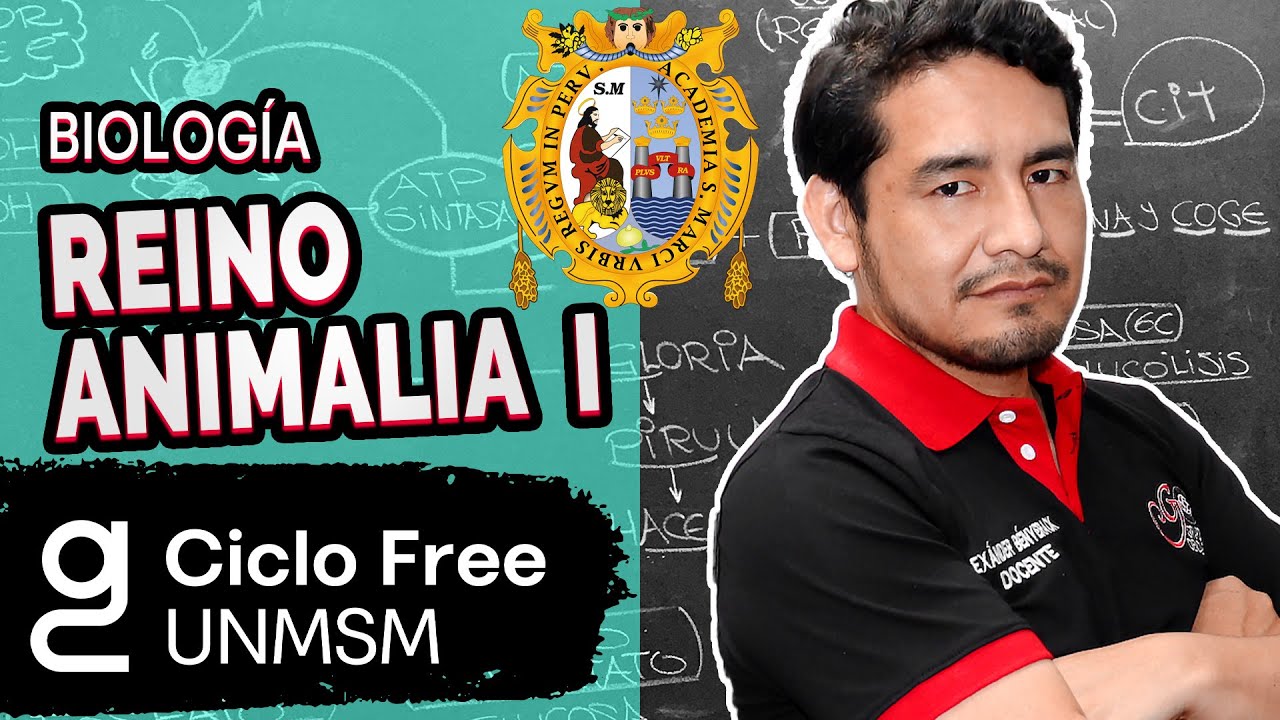 BIOLOGÍA - Reino Animalia Parte 01 [CICLO FREE]
