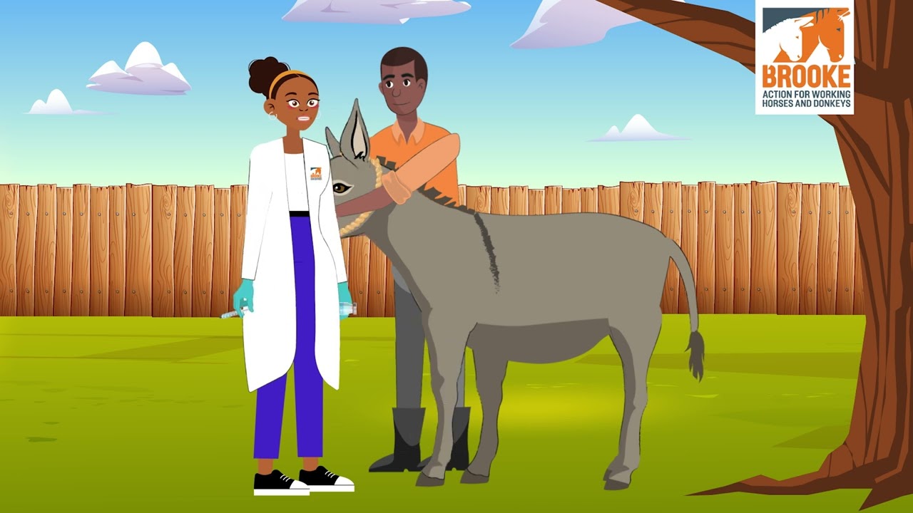 Intramuscular Injection Animation Video