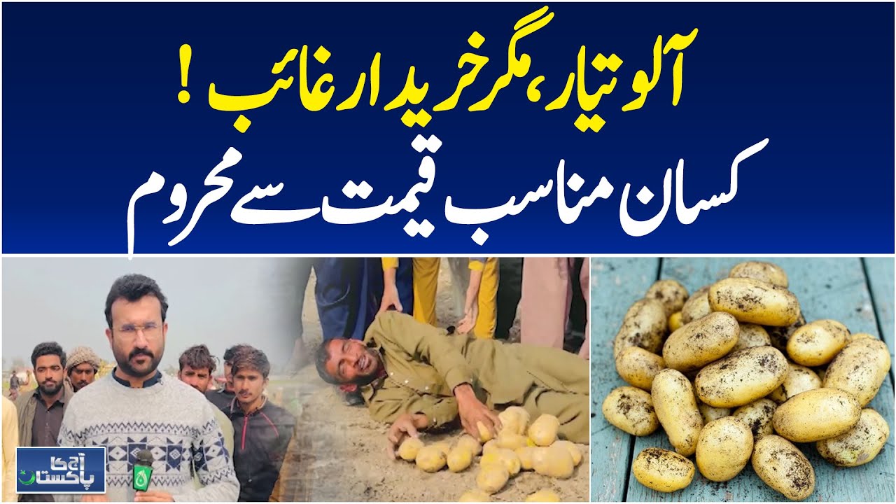 Pakpattan Potato Farmers | Export Delays | Low Prices Hit Growers - Aaj Pakistan News